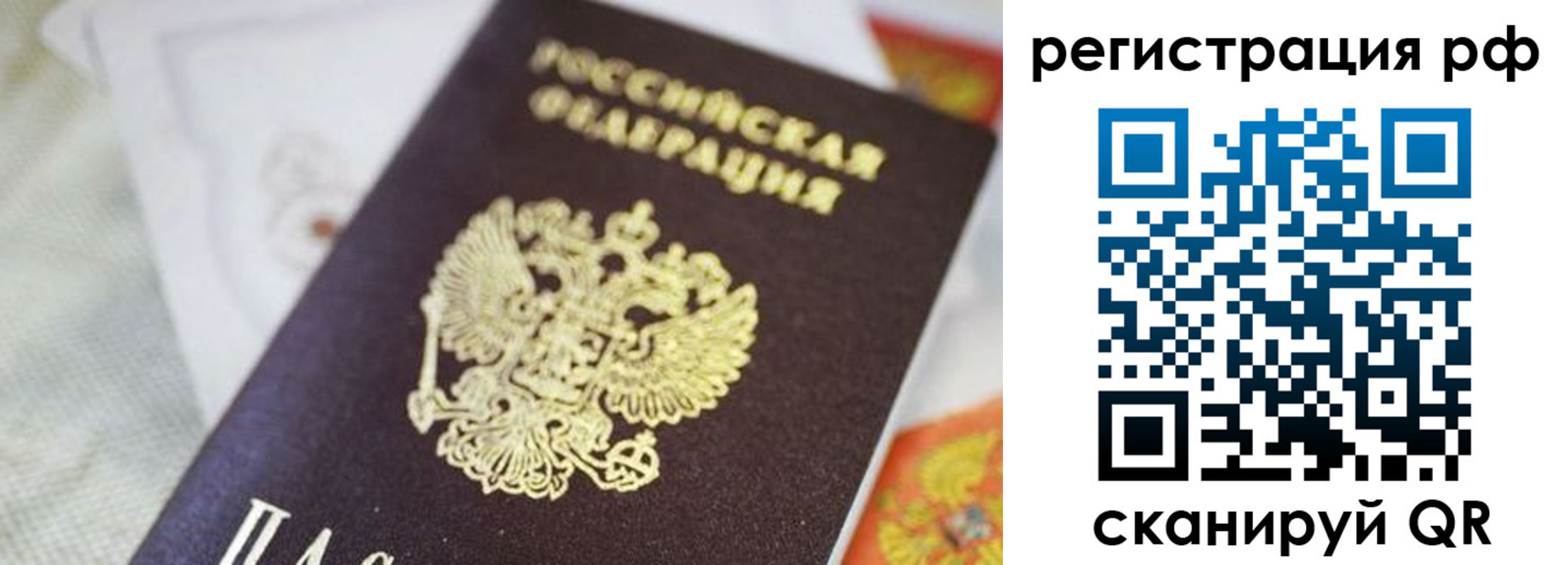 прописка гарантия в Зеленоградске